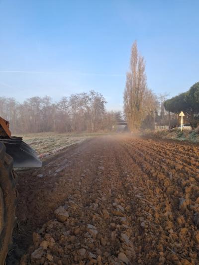 actualité - Hiver aux champs : labours, serres et endives en préparation